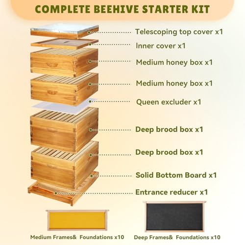 10-Frame Bee Hive Complete Beehive Kit Beeswax Coated Beehive Include Frames and Foundation Sheets for All Beekeeping Levels (2 Deep & 2 Medium Bee Boxes)