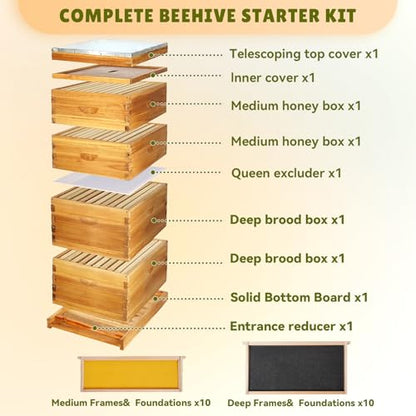 10-Frame Bee Hive Complete Beehive Kit Beeswax Coated Beehive Include Frames and Foundation Sheets for All Beekeeping Levels (2 Deep & 2 Medium Bee Boxes)