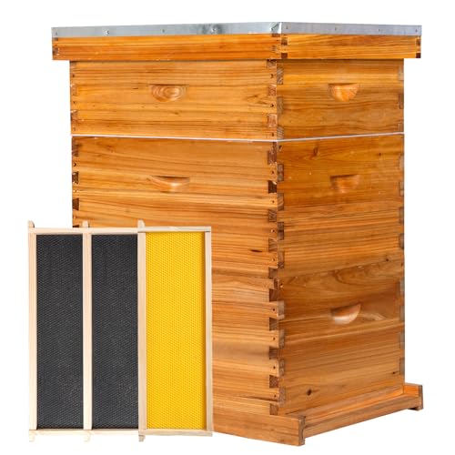 10-Frame Langstroth Bee Hive,3 Layers Beeswax Coated Beehive Kit Includes 2 Deep Brood Hive Boxes and 1 Medium Super Bee Box with Beehive Frames and Foundations - size: 3 Layers