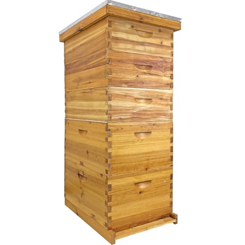 5-Layer Langstroth Bee Hive Kit, 100% Beeswax Coated Wood Beehive Includes 2 Deep Breeding Boxes and 3 Medium Super Boxes, 10-Frame Standard Bee House with Metal Top Cover, No Frames - size: 5 layer
