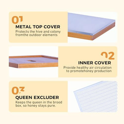 POLLIBEE 10 Frame Bee Hive, Beehive Kit Includes 2 Deep Brood Bee Boxes, 2 Medium Beehive Boxes,Comes with Assembly Screws (No Frames or Foundations)