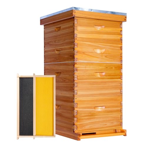 Honey Lake 10-Frame Langstroth Beehive Starter Kit, Beeswax Coated Complete Bee Hive Includes 2 Deep Brood Boxes & 2 Medium Super Bee Boxes with Beehive Frames and Foundations for Beekeepers (4 Layer) - size: 10-Frame 4-Layer