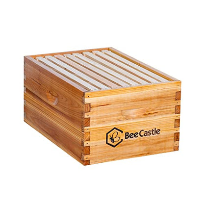 BeeCastle Heavy Wax Coated Langstroth Unassembled Deep/Brood Box with Frames and Beeswax Coated Foundation Sheet (8 Frame) - size: 8 Frame