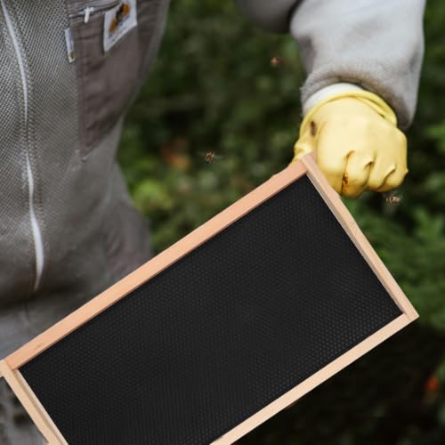 Bee Keeping Frame Holder Made of Pine Wood and Plastic, Versatile Beekeeping Tool for Holding Hive Frames, for General Beekeeping Tasks and Honey Harvesting
