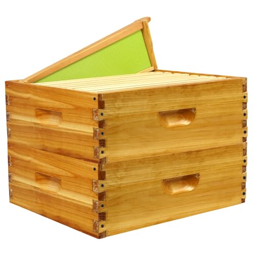 10 Frame Langstroth Medium Super Box Dipped in Beeswax, Bee Hive Box Sections of Wood for Beehives Include Beehive Frames and Wax Foundations, 20 Pack(Green Unassembled) - size: Medium 20pack