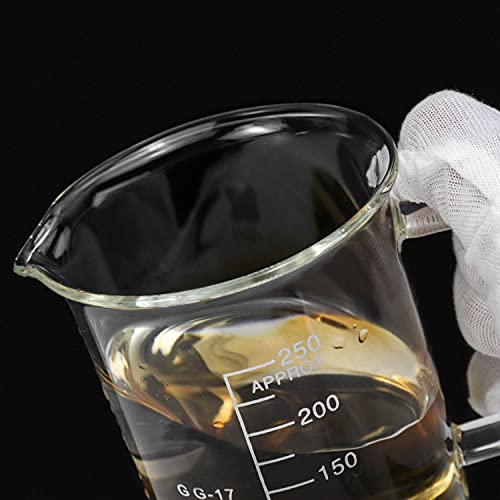QWORK Beaker with Handle, 250ml/8.45oz, Borosilicate Glass,Measuring Cup, Beaker Mug with Pouring Spout - size: 250 ml