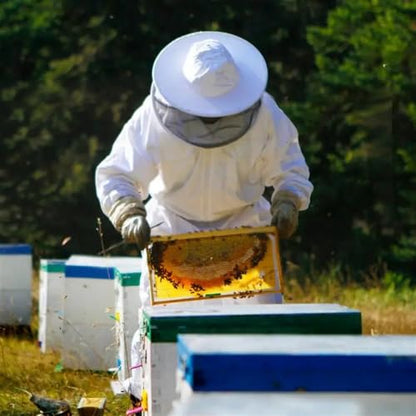 Beekeeping Suit Full Body Beekeeping Clothes Professional Protective Beekeepers Suits with Anti-Bee Round Veil Hood Hat Safty (Medium)