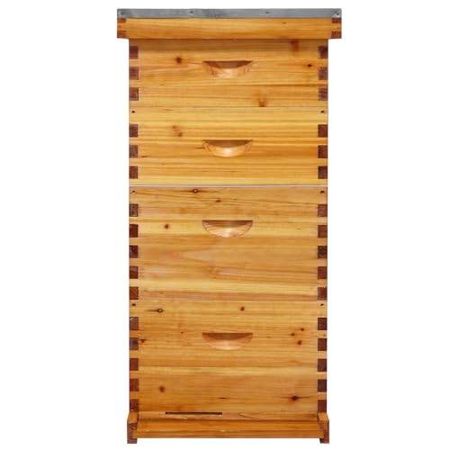 10-Frame Langstroth Bee Hive Beeswax Coated, Complete 4-Layer Beehive Starter Kit Includes 2 Deep Brood Boxes and 2 Medium Super Boxes with Bee Frames and Foundations - size: 4-Layer