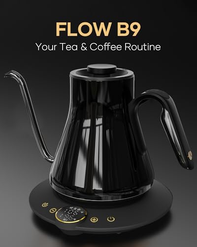 Cocinare Gooseneck Electric Kettle, ±1°F Precise Temperature Control, 1500W Fast Heating, Pour Over Coffee & Tea Kettle with Brew Timer & Keep Warm, Stainless Steel, 0.9L (Soulages Black) - color: Soulages Black