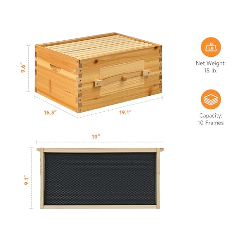 CREWORKS 10 Frame Bee Hive Box, Langstroth Beehive Deep Box with Frames & Foundations, Beeswax Coated Brood Bee Box for Bee Keeper, Beekeeping Supplies with Transparent Acrylic Window - style: 1 Layer