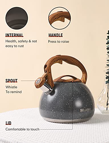 BELANKO 2.7 Quart Tea Kettle for Stovetops - Food Grade Stainless Steel Teapot with Loud Whistle, Cool-Touch Wood Pattern Handle, Rust-Resistant Whistling Kettle - Starry Gray - color: Starry Gray