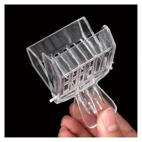 Queen Bee Cage 30 Pcs Beekeeping Queen Bee Cages Catcher Clear Clip Cage Equipment Tool Beekeeper Equip