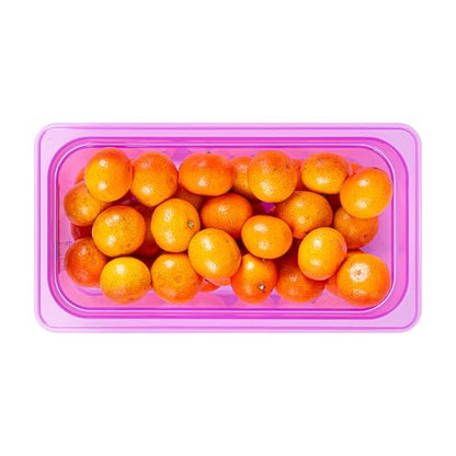 Restaurantware Food Storage Container 1 Pack of 5.6 qt Plastic Stackable Microwave-Safe Bin Dishwasher Safe Freezer Safe Purple Containers for Kitchen Storage - size: 1/3 Size