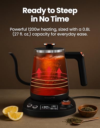 Viante Electric Gooseneck Kettle 0.8L, Pour Over Coffee & Tea, Temp Control | Boil-dry protection, keep-warm function, BPA-free stainless steel body. Includes #2 coffee filters - style: Gooseneck