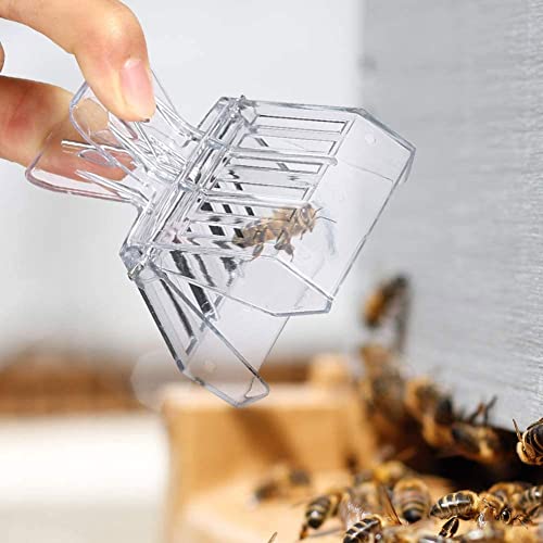 A/U 10 Pack Queen Bee Cage Catcher Clips Transparent Plastic Bee Queen Catcher Get Clips Catcher Trap Box Bee Queen Clip Beekeeper Beekeeping Getting Tool Beekeeping Equipment