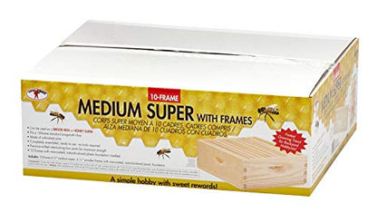 Little Giant 10-Frame Medium Super Beehive Body with Frames for Beekeeping (Item No. MEDBOX10)