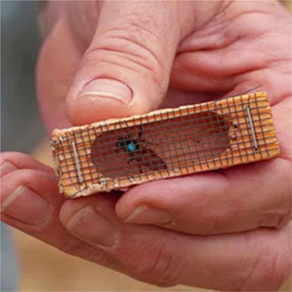 Queen Bee Cage 20pcs Wooden Mutil-Functional Beehive Rearing Cell Bees Queen Post Prisoner, Beekeeping Tools for Beekeeping Supplies