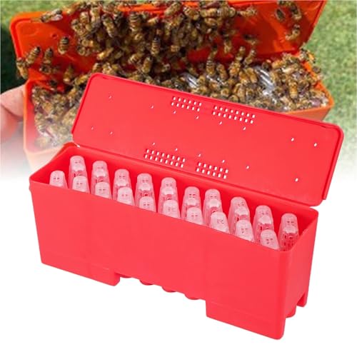 Queen Bee Cage 2 Sets Queen Bee Transport Box Bee Shipping Container with Queen Cage Rearing Tool Queen Cell Plastic Incubator Beekeeping Supplies for Beekeeping Supplies