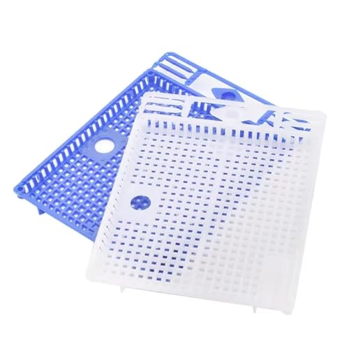Queen Bee Cage 10Pcs Reusable Queen Bee Isolator Introduction Cage Portable Plastic Isolation and Introducing Beekeeping Tools for Beekeeping Supplies(Green) - color: Green