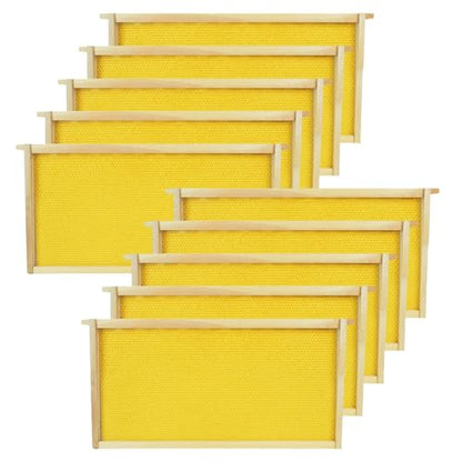Deep Brood Beehive Frames with Wax Foundation 10pack Beehive Frames Beeswax Dipped Plastic Foundations for Beekeeping 9-1/8-Inch - size: 10 Pack Deep Brood Beehive Frames