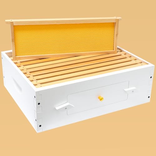 Painted Beehive with Windows Langstroth 10 Frame – 4-Layer Bee Hive Includes 20 Medium & 20 Deep Frames with Wax Foundations (2 Deep & 2 Medium Super Bee Box)