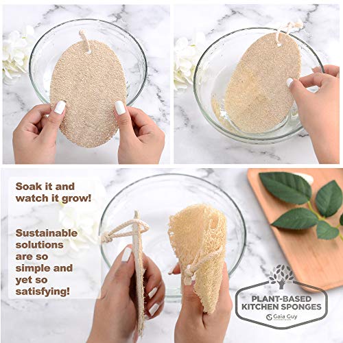 Plastic-Free Cleaning Brushes and Loofah Sponges