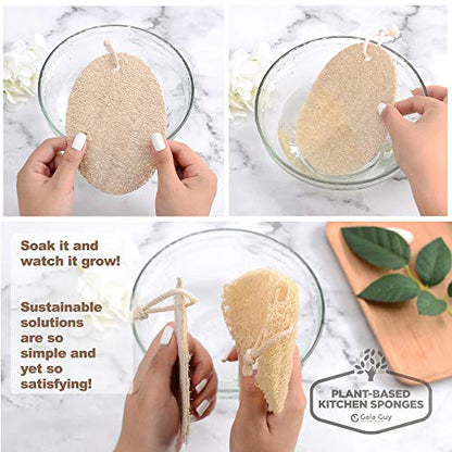 Plastic-Free Cleaning Brushes and Loofah Sponges