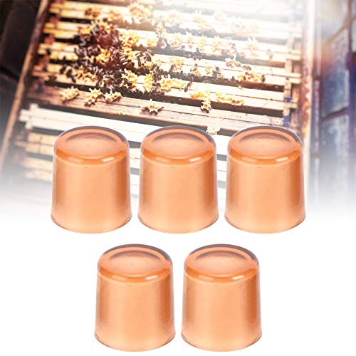 Agatige 500PCS Plastic Queen Rearing Cell Cup, 1x1cm Brown Beekeeping Queen Cell Cup Holder Grafting Tool Honey Bee Beekeeping Supplies for Beekeeper