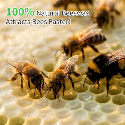 20 Pack Beeswax Coated Foundation Sheets for Beehive, Beehive Waxed Plastic Comb Foundation, Bee Wax Nest Foundation, Deep Frame Beekeeping Tool, 8-1/2-Inch, Green - size: 20pcs for 8-1/2-Inch