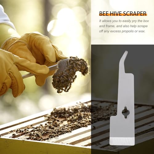 Stainless Metal Beehive Scraper and Beekeeping Lifter Tool for Hive Maintenance, Curved Durable Hive Frame Scraping Equipment for Beekeepers
