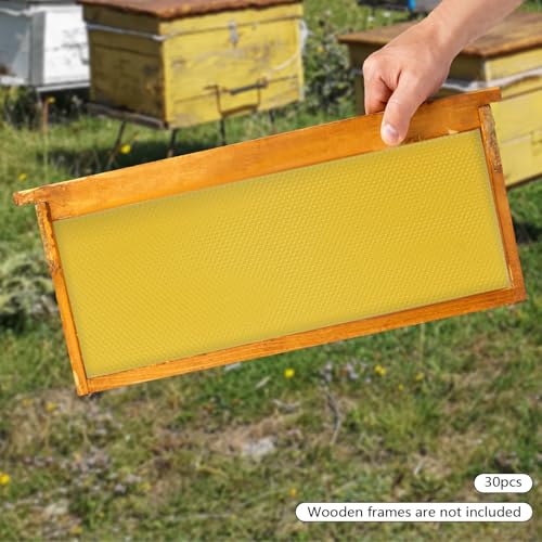 Natural Beeswax Honeycomb Foundation Sheets,30 Pcs Bee Hive Foundations，Wax Foundation for Bee Frames Honey，for Beekeeping and DIY Candle Making