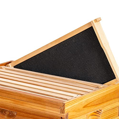 MayBee 20 Pack Honey Bee Frames with 100% Beeswax Coated Food Grade Foundation Sheets, Complete Unassembled Deep Beehive Frames and Foundations - color: 20 Deep Frame black
