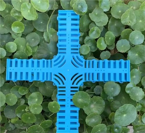 Queen Bee Cage 10pcs King Cage Lengthened Enlarged Bee Prison Queen Plastic Crown Prince Equipment for Beekeeping Supplies