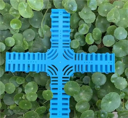 Queen Bee Cage 10pcs King Cage Lengthened Enlarged Bee Prison Queen Plastic Crown Prince Equipment for Beekeeping Supplies