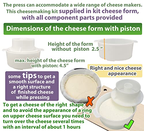 PetriStor Wooden Cheese Press for Cheese Making Supplies 12 in Metal Guides and Cheese Mold with Follower Piston 1.3Qt - Small Home Supply Cheese Press Machine - Prensa Para Queso Casero