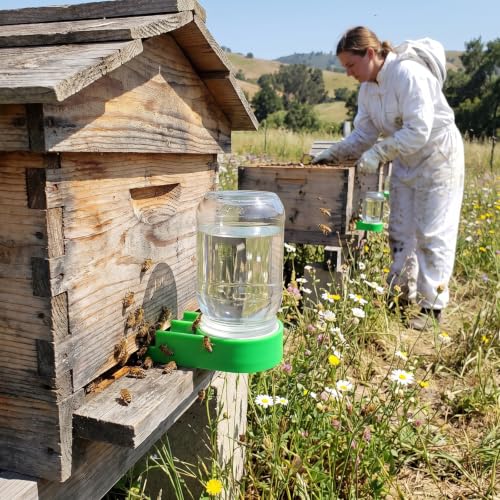 4 Pack Upgraded Bee Feeder Bee Hive Entrance Feeder, Plastic Beekeeping Supplies Bee Waterer Drinking Equipment, Bee Hive Tool Feeder Fits for Mason Jars and Most Other Small Mouthed Jars(Green)