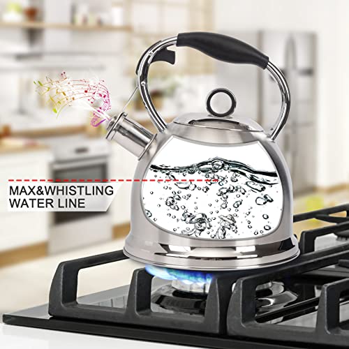 Tea Kettle for Stovetop, Food Grade Stainless Steel Water Kettle, Tea Pot for Home & Kitchen, 3.0 Qt - color: Silver