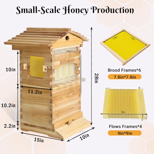 Bee Hive,Auto-Harvest Honey Beehive Wooden Box,Auto Bee Hives Boxes Starter kit with with Observation Chamber,Beehives and Supplies Starter Kit for Beekeepers