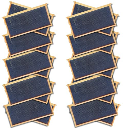 Foxhound Bee Company - Made in USA - Fully Assembled Deep Beekeeping Frames with Double Wax Beeswax Coated Plastic Foundation - 20 Pack - style: Deep - 20 pack