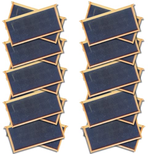 Foxhound Bee Company - Made in USA - Fully Assembled Deep Beekeeping Frames with Double Wax Beeswax Coated Plastic Foundation - 20 Pack - style: Deep - 20 pack