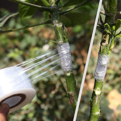 4 Pcs Grafting Tape for Fruit Trees,Garden Plant Nursery Tape Stretchable Self Adhesive Membrane Clear Floristry Film,Plant Repair Budding Tape
