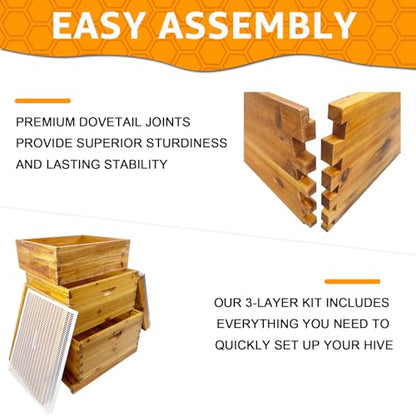3-Layer Langstroth Bee Hive Beginner-Friendly Beehive Starter Kit, 3 Boxes Included (2 Deep + 1 Medium) with Beeswax Coated, Easy Assembly for Easy Beekeeping Start