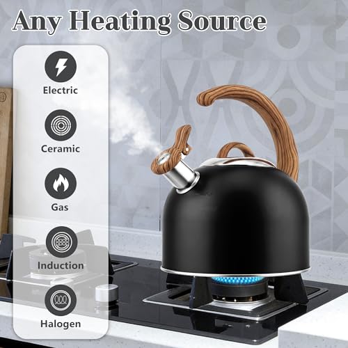 Harriet Tea Kettle Whistling Stovetop Tea Pot, 3.1QT Food Grade Stainless Steel Kettle for Boiling Water Coffee or Milk(Black) - color: Black