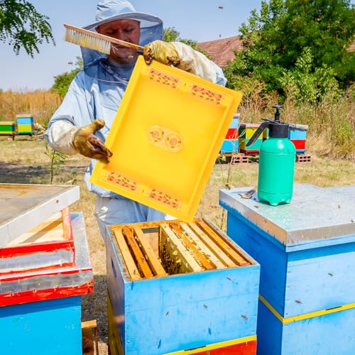 10 Frame Bee Top Feeder, Assembled Plastic Beehive Candy Board Feeder for Feeding Water or Sugar Cake to Bee Hives Beekeeping Supplies Tool Equipment 1.2 Gallon, Easy to Use