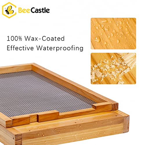 BeeCastle Beehive Screened Bottom Board Dipped in 100% Beeswax,Screened Bottom Board 8 Frame with Solid Wood - size: 8-Frame