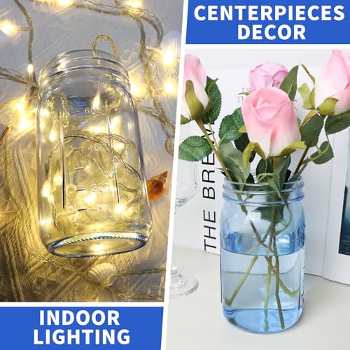 CARBLIN 2 Pack Mason Jars 32 oz, Blue Wide Mouth Canning Jars with Airtight Lids, Glass Pint Jars with Bands Labels Brush, Large Storage Quart Jars for Jam Fermenting Preserving - color: Blue