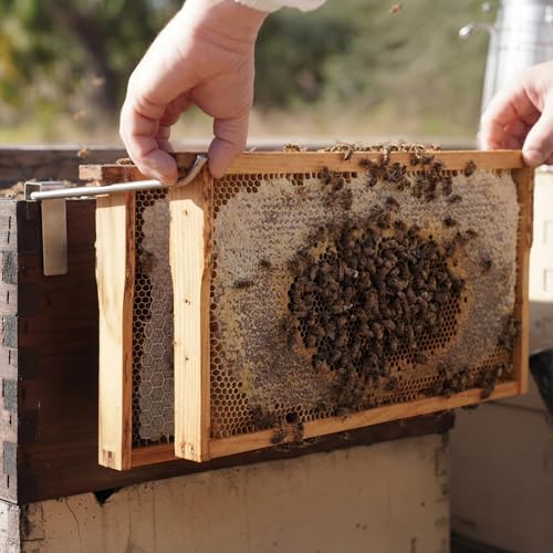 Blulu 2 Pack Stainless Steel Bee Hive Frame Holders Hold 3 Full Beehive Frame Support 18 x 12 x 4 Inches Beekeeping Supplies Holder Stand Support Perch for Honey Harvesting Inspection