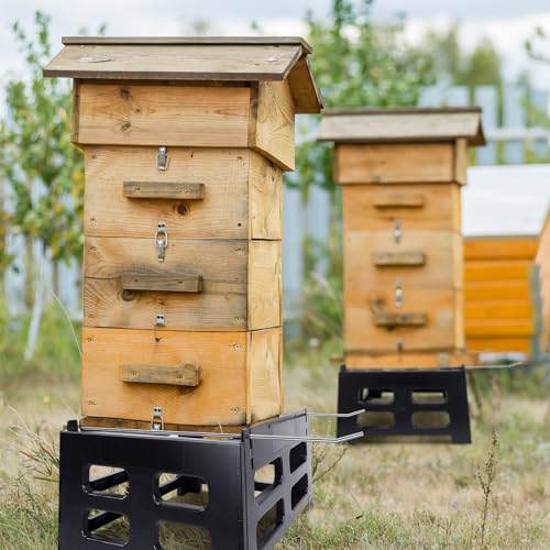 Vesici 10 Frame Bee Hive Stand 22.44 x 16.73 x 12.99 Inch Black Plastic Hive Stand Frame Beehive Beekeeping Support Tool a Good Helper for Your Beekeeping(1 Pc)