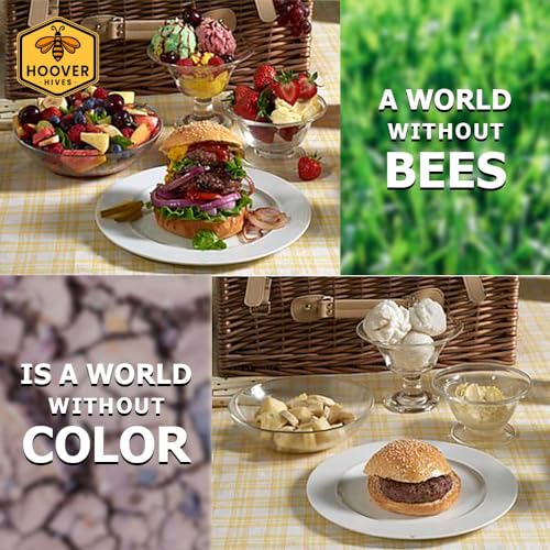Hoover Hives 8 Frame Langstroth Beehive Dipped in 100% Beeswax Includes Wooden Frames & Waxed Foundations (1 Deep Box, 1 Medium Box)