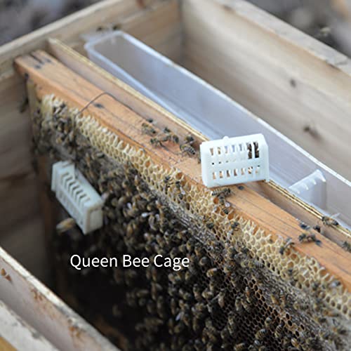 Marking Kit Queen Bee Marking Pen Set Beekeeping Marker Bottle Catcher Bee Queen Beekeeper Supplies